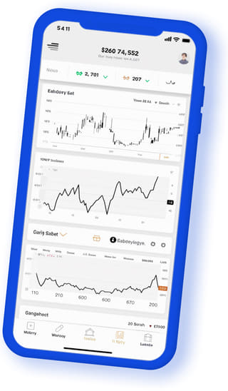 Application web numérique Titrésonde affichée sur un appareil mobile